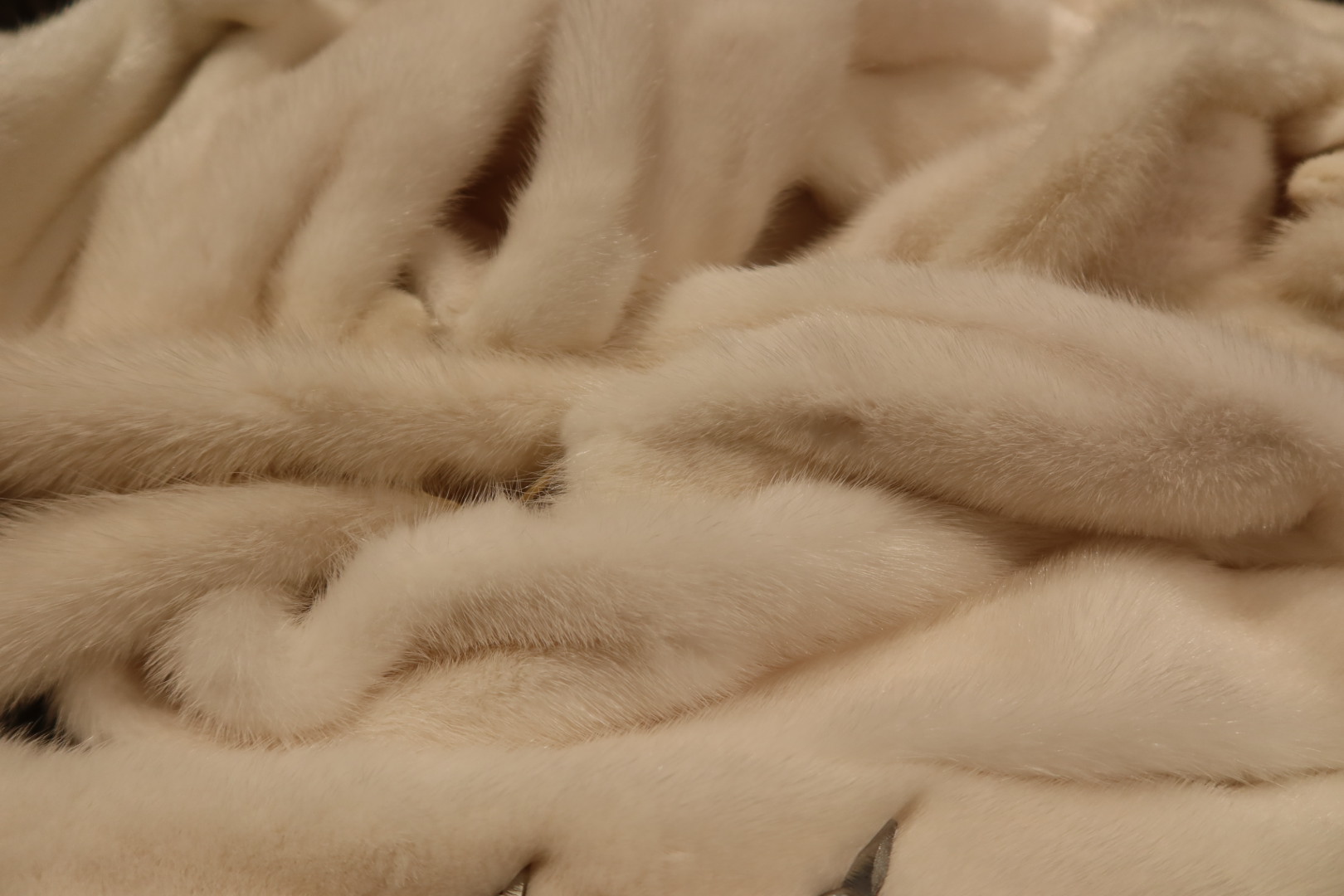 Mink