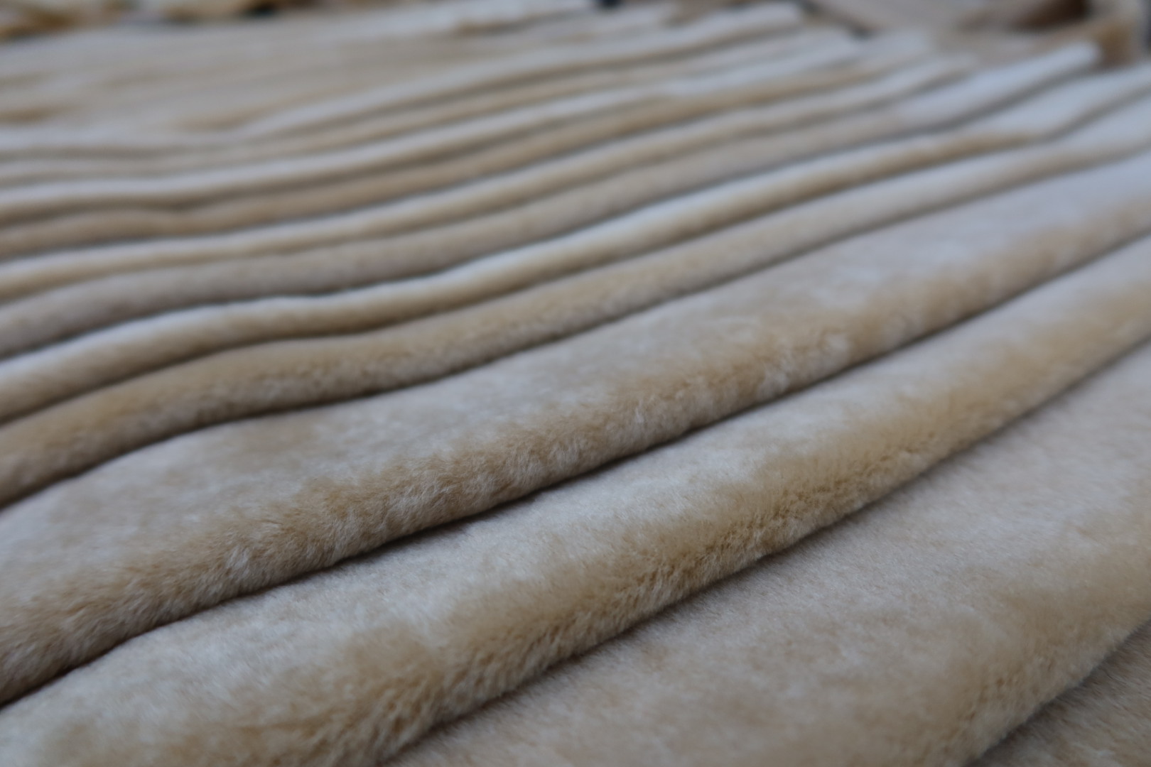 SHEARLING